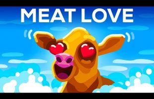 Is Meat Really that Bad?