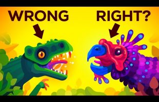 What Dinosaurs ACTUALLY Looked Like?