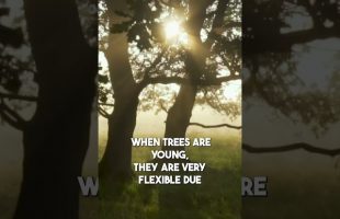 The Best Trick For Longevity and Health!