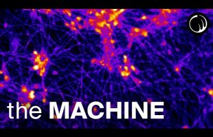 The Machine – A Thought Experiment That Changes Your Life
