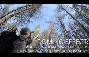 Domino Effect: Weather Warfare, Wasted Forests and Worldwide Collapse Of Ecosystems