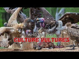 Professor Griff on WHO are the “Culture Vultures”?