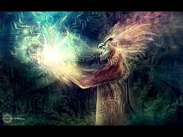 Psychotherapy vs Shamanism (Terence Mckenna)