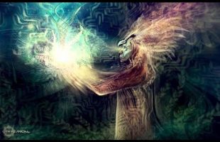 Psychotherapy vs Shamanism (Terence Mckenna)