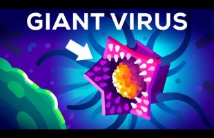 This Virus Shouldn’t Exist (But it Does)
