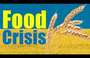 How The War in Ukraine Will Affect Third World Food Prices