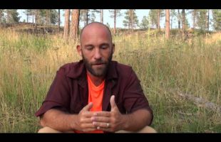 Viability as a Tech Professional