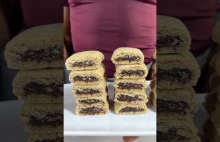 Gluten Free, Vegan FIG NEWTONS Refined Sugar Free, Oil free