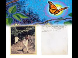 Terence Mckenna Calling the Butterflies at La Chorrera in the Amazon Rainforest