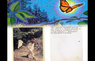 Terence Mckenna Calling the Butterflies at La Chorrera in the Amazon Rainforest