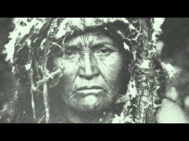 The Shaman – Terence McKenna