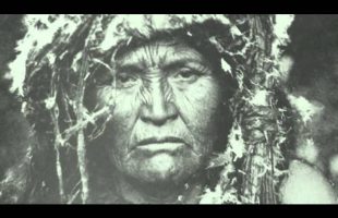 The Shaman – Terence McKenna