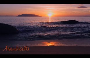 Alan Watts – What Is Reality?