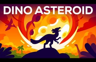 The Day the Dinosaurs Died – Minute by Minute