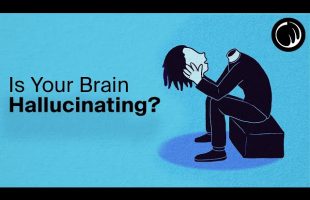 Is Your Brain Hallucinating Reality?