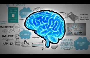 How to Exercise your Brain – Staying Sharp Animated Book Review