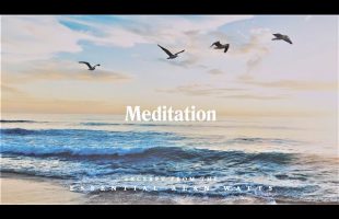 Alan Watts | Essential Alan Watts | (Meditation excerpt)