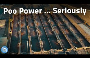 Turning Human Waste into Renewable Energy?