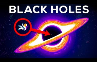 What If You Fall into a Black Hole?