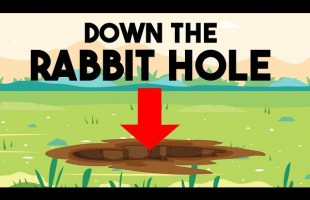 Everyone Should Watch This