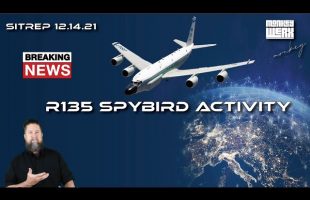 Breaking R135 Spybird Activity