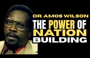 The Power of Nation Building | Dr. Amos Wilson | Transatlantic Productions #TheNewBlackMind check1
