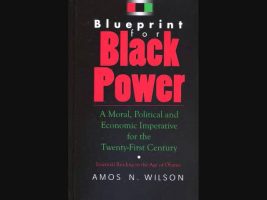Amos N. Wilson | Educating Africans in America for the 21st Century