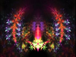 “Find the Others” (Terence Mckenna)