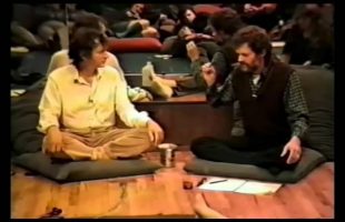 A Gaian Insight (Terence Mckenna)