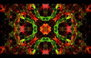 The Universe Inside (Terence Mckenna)