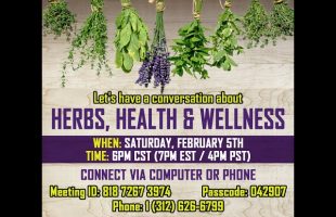Herbs, Health and Wellness  – Part 1