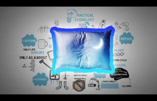 Sleep Smarter and Cure Insomnia – Shawn Stevenson – Animated Book Review