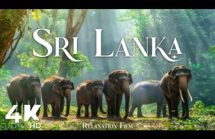 Sri Lanka 4K • Pure Bliss with Peaceful Music | Relaxation Film