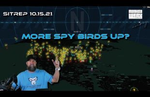More Spy Birds Up?