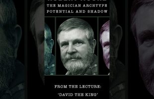 Robert Moore | The Magician Archetype Potential & Shadow | #Shorts #Psychology #CarlJung #magic