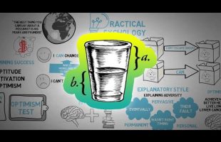 Learned Optimism Positive Psychology – Martin Seligman – Animated Book Review