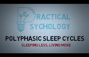 Polyphasic Sleep Cycles – Uberman, Dymaxion, and Everyman Sleep Schedules