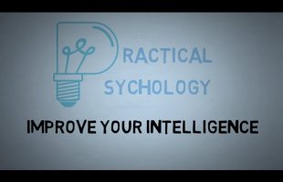 How To Gain Intelligence – 8 Intelligences Theory – Get Smarter Everyday