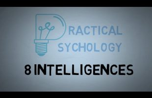 8 Intelligences – Theory of Multiple Intelligences Explained – Dr. Howard Gardner
