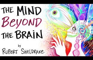 Evidence That Your Mind is NOT Just In Your Brain – Rupert Sheldrake