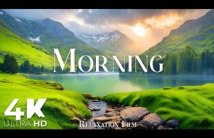 Morning Calm 4K • Soft Light, Clear Mind, Pure Calm | Relaxation Film