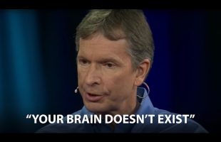 “Nothing You See is Real” | Donald Hoffman