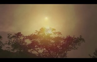 Alan Watts | Zen & Meditation | Why Not Now (excerpt)