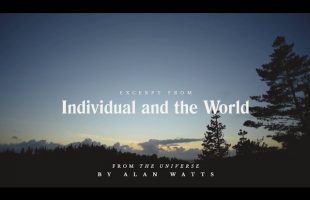 Alan Watts – Individual and the World Pt  1 Full Lecture – Alan Watts Organization Official