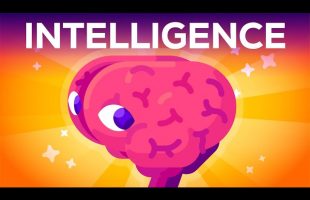 What Is Intelligence? Where Does it Begin?