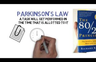 The 80/20 Principle and Parkinson’s Law – Richard Koch – ANIMATED BOOK REVIEW examples