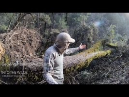 Climate Engineering: Aftermath Of Chemical Ice Nucleation