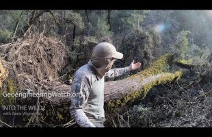 Climate Engineering: Aftermath Of Chemical Ice Nucleation