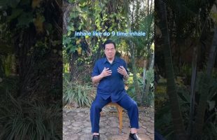 Activate a heart coherence state with the help of 9 breaths practice 💜