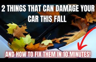 2 Things That Damage Your Car This Fall Season and How To Fix Them!